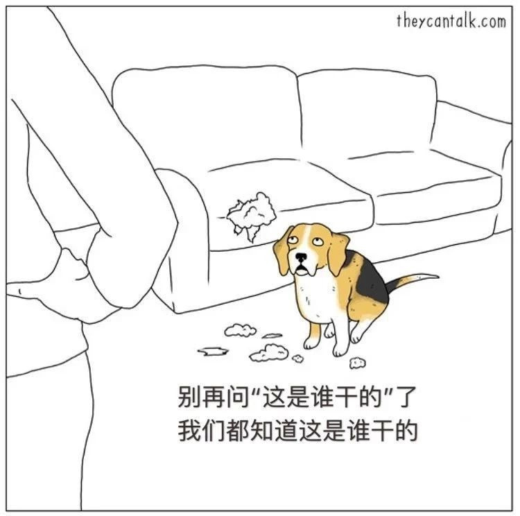 如果狗狗會說話…那你可能會被它們笑死！