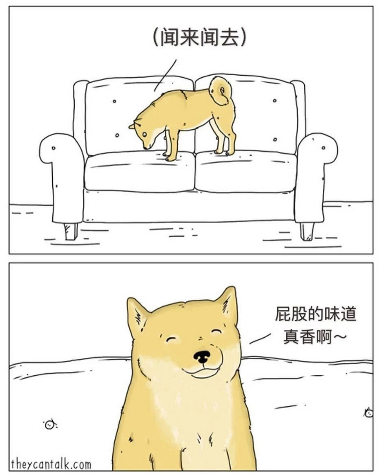 如果狗狗會說話…那你可能會被它們笑死！