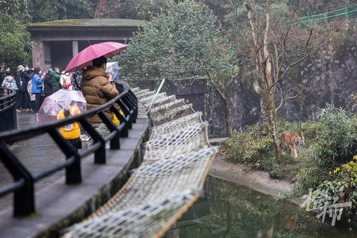 xʽУ仢h(yun)](mi)^f(wn)²ó