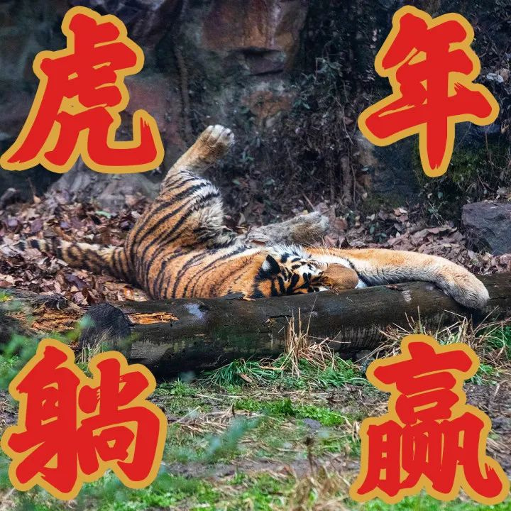 xʽУ仢h(yun)](mi)^f(wn)²ó