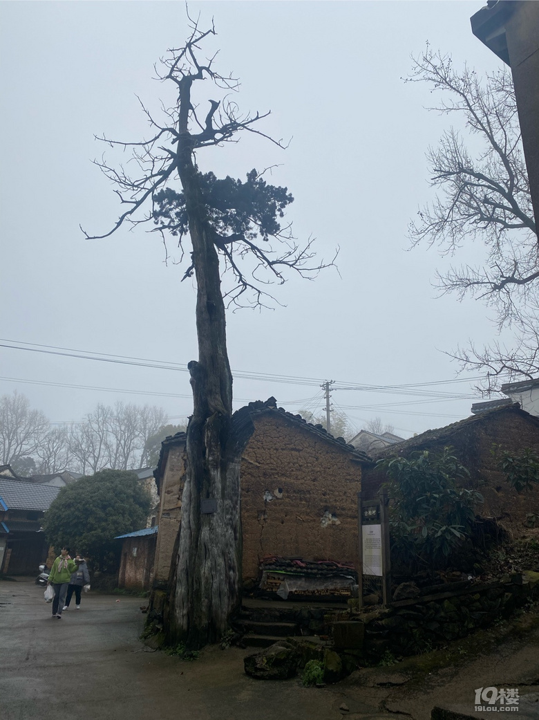 十九峰大古村老街