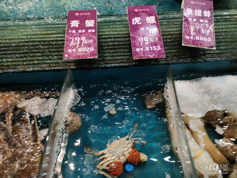 ·^