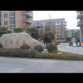 鿴ß