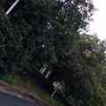 鿴ß