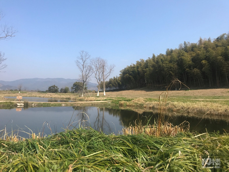侹ųzַ@