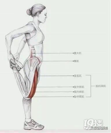 體考系列——你的膝蓋還疼嗎？（一個小方法解決問題）