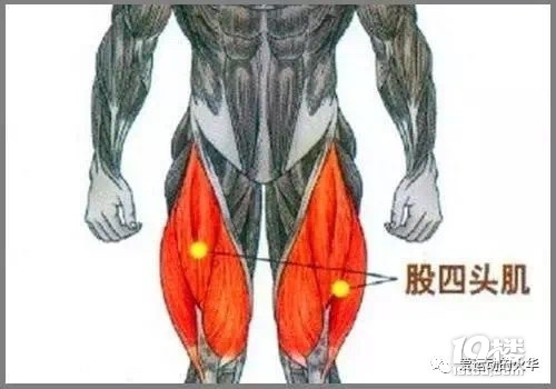 體考系列——你的膝蓋還疼嗎？（一個小方法解決問題）