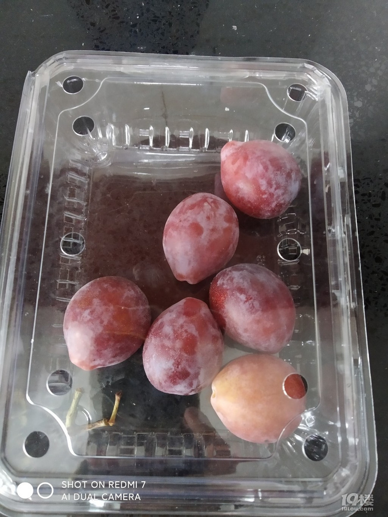 今日份水果