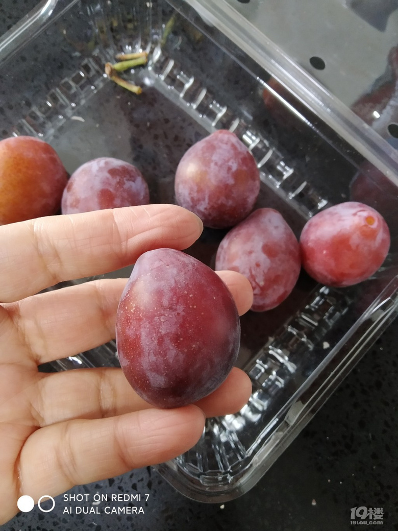 今日份水果