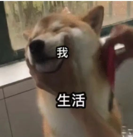 tԭǣ[犱P(gun)ņ