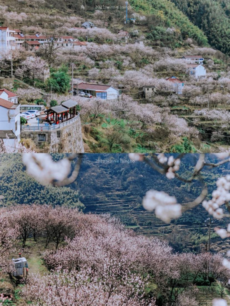 쿴@һđСɽ壬˿