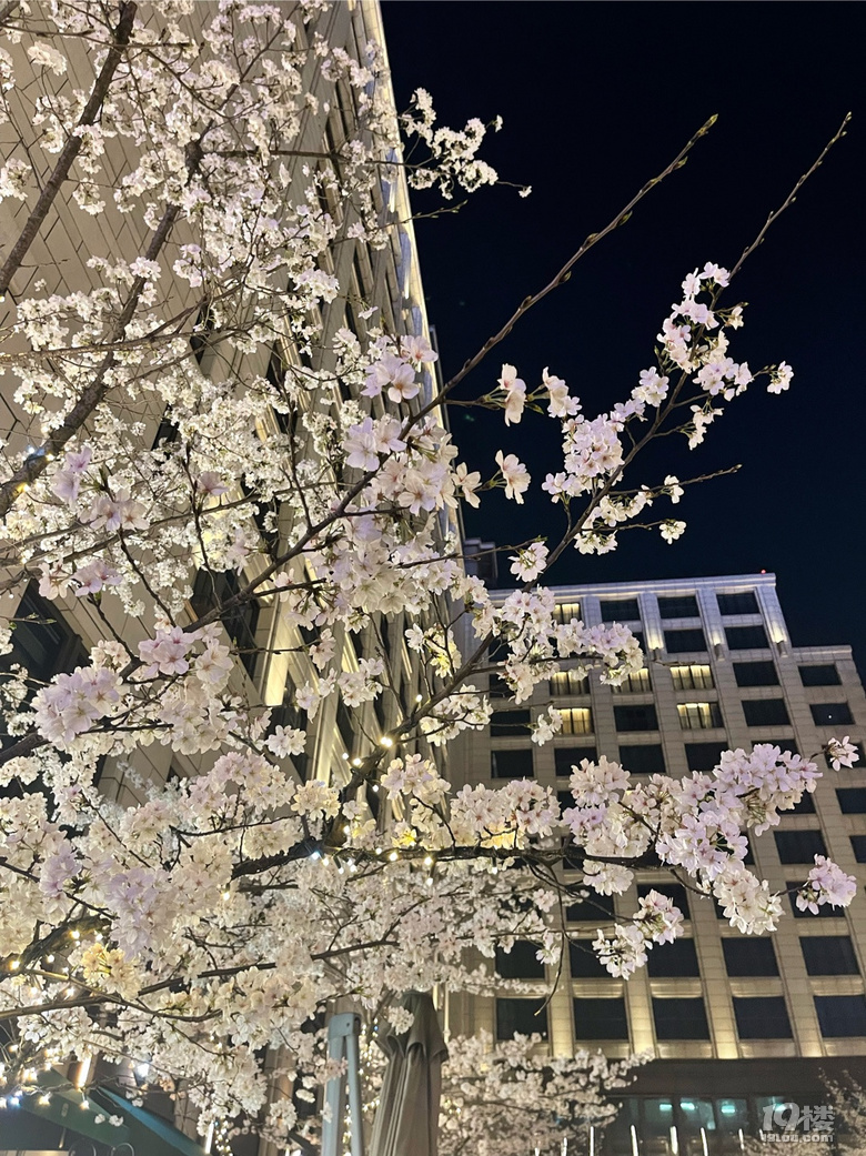 ҹęѻ_ٵһӋ(j)]