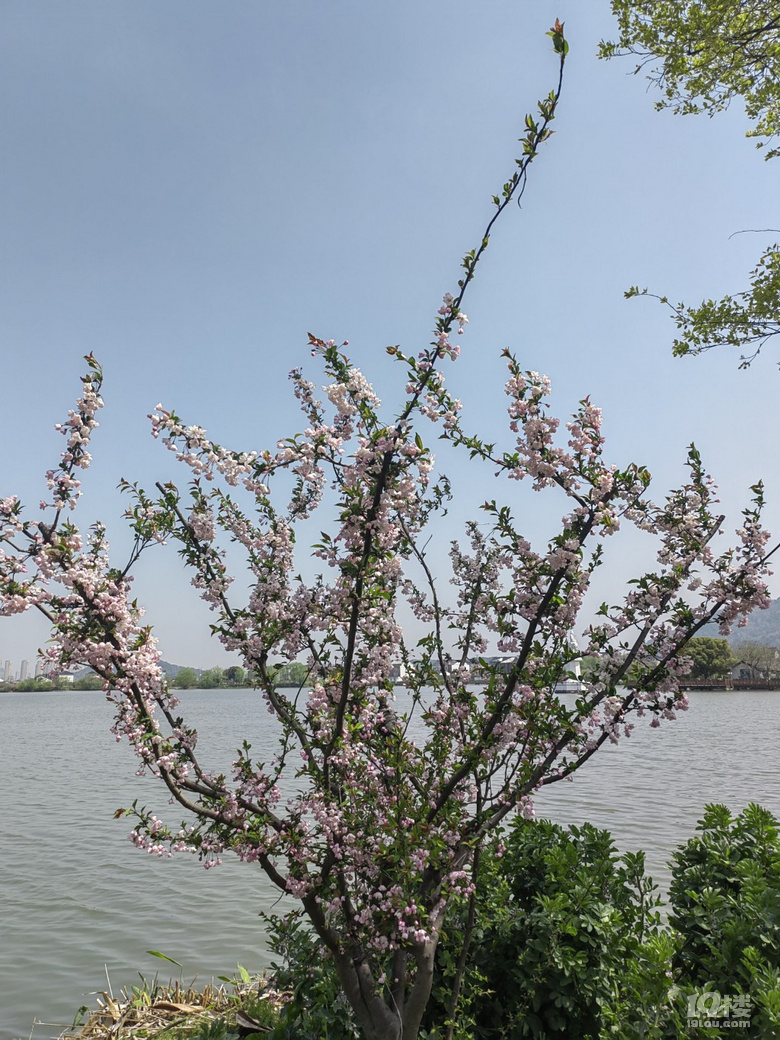 不負(fù)春天好時(shí)光