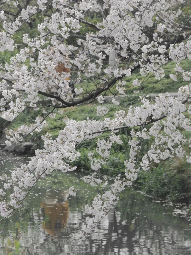 ѻ㡭ֻ@ŶĴ