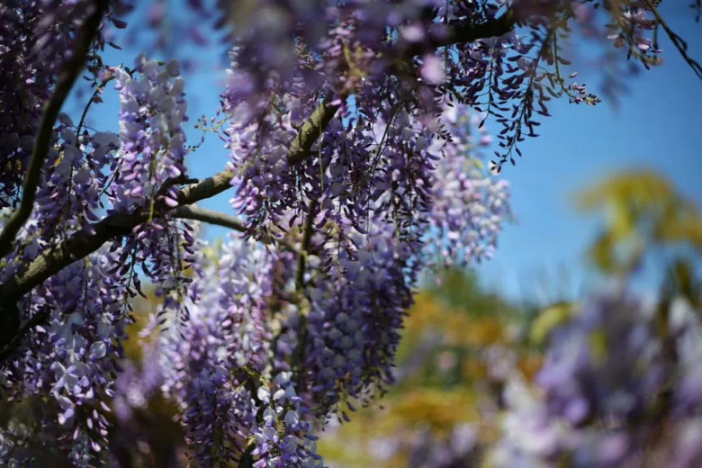 ѻ㡭ֻ@ŶĴ