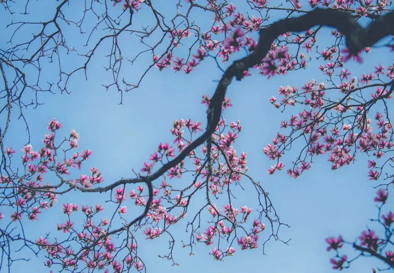 ѻġ㡭ֻ@ŶĴ