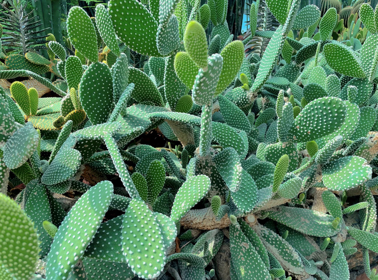 ѻġ㡭ֻ@ŶĴ