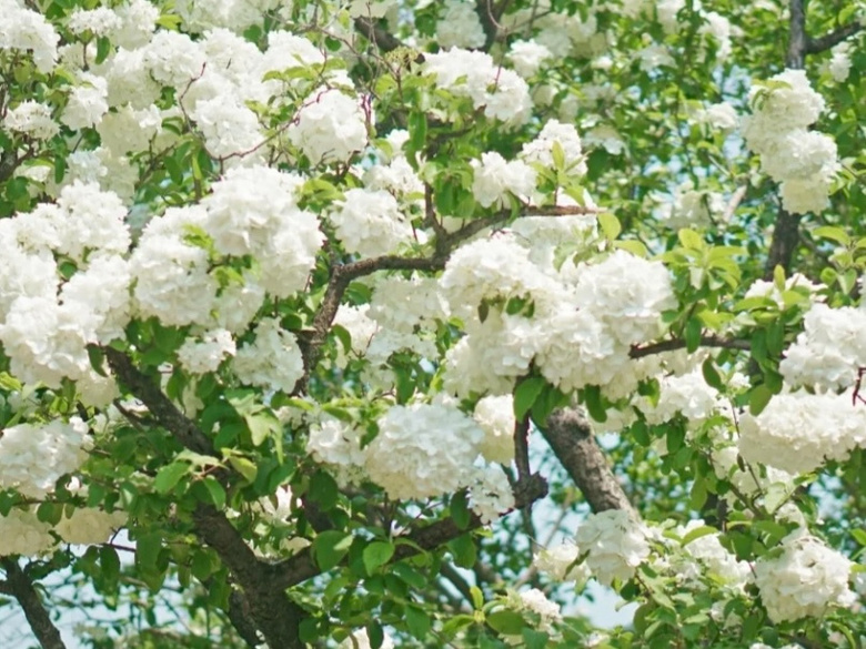 ѻġ㡭ֻ@ŶĴ