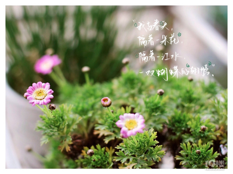 3.26ӛ䛡