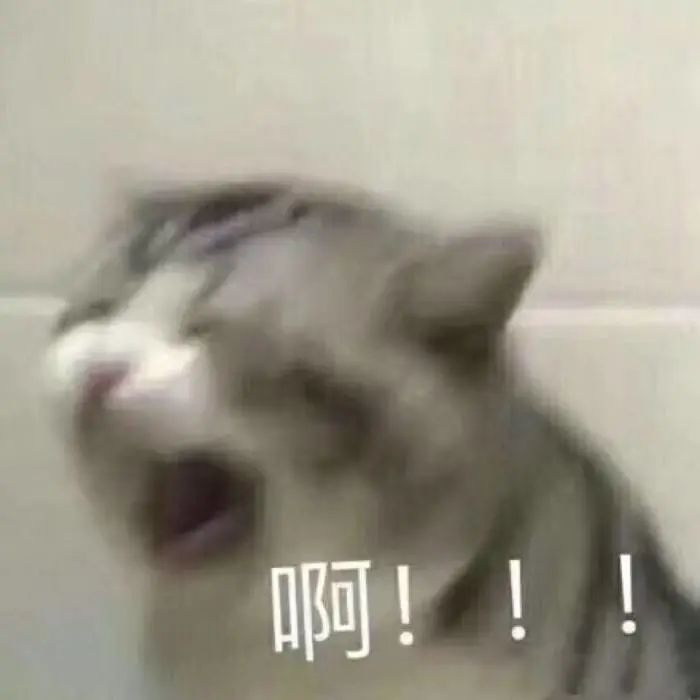 ؈áۡҵĘó