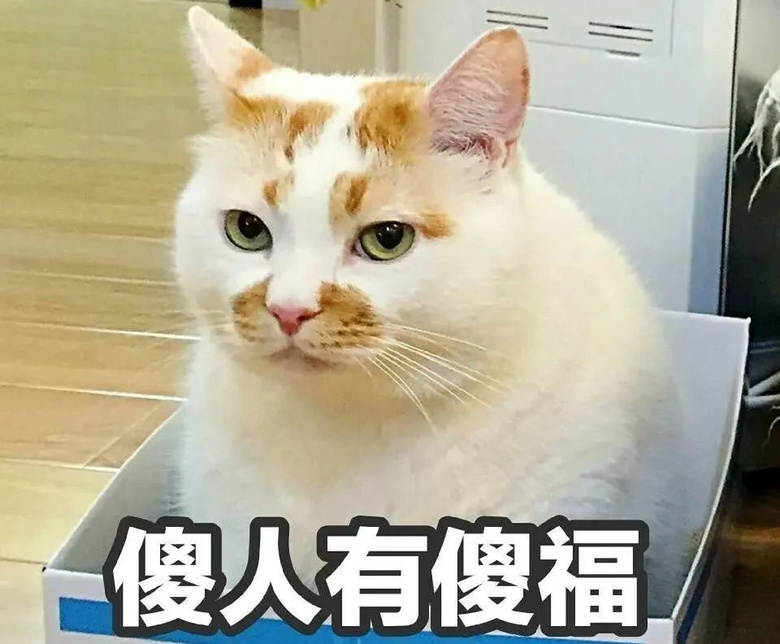 ؈áۡҵĘó
