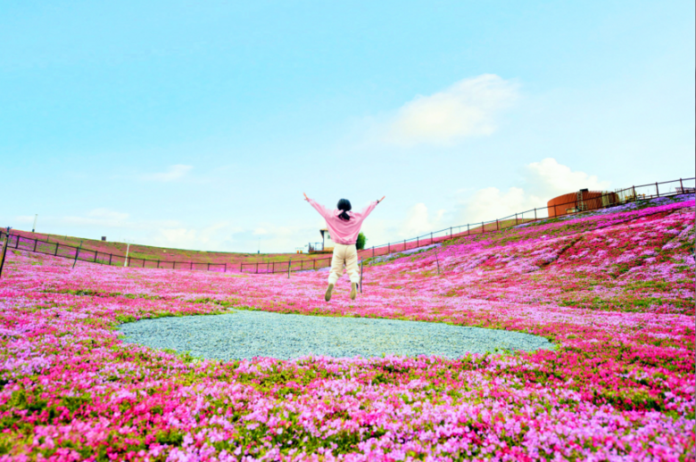 Ǳ(yn)ص͹pؾҲӲʳأһl