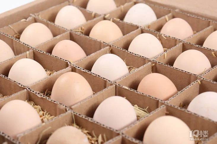 農戶林下散養，產地現發：皖北土雞蛋49.9元30枚！
