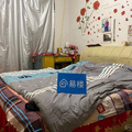 鿴ß
