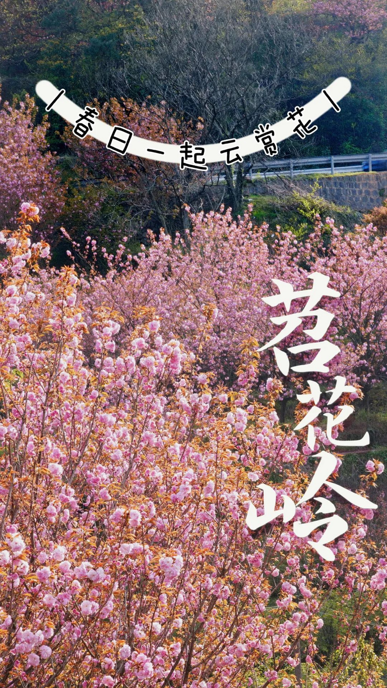 g죡T@̎ۙؾһϾͯԒ