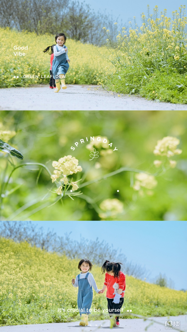 微風里、晴日下|杭州最美的油菜花田里，賞春踏青的小可愛~