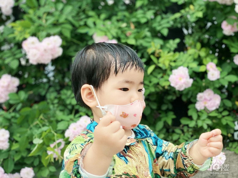 小可愛薔薇上新啦