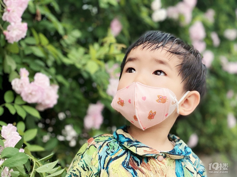 小可愛薔薇上新啦