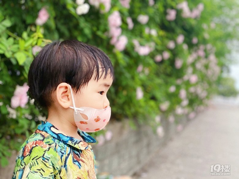 小可愛薔薇上新啦