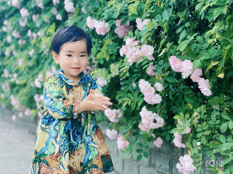 小可愛薔薇上新啦