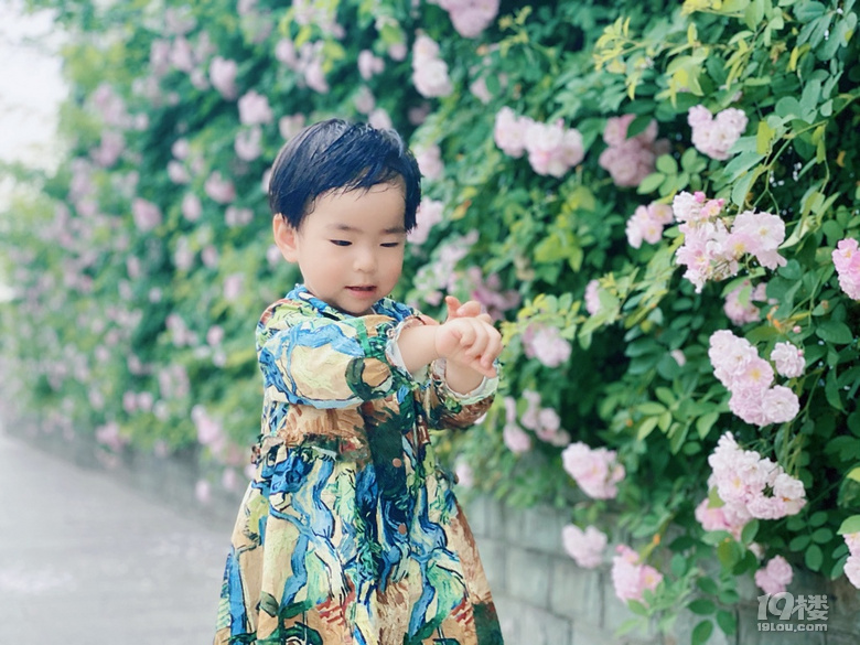 小可愛薔薇上新啦