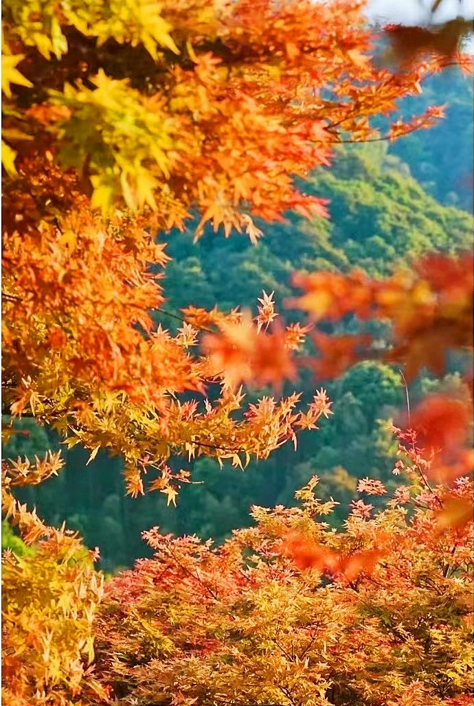@ֵöˢǧſhڹӞVR