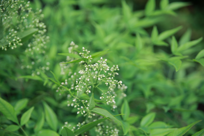 鮔(dng)ǰڼヺŮ(x)