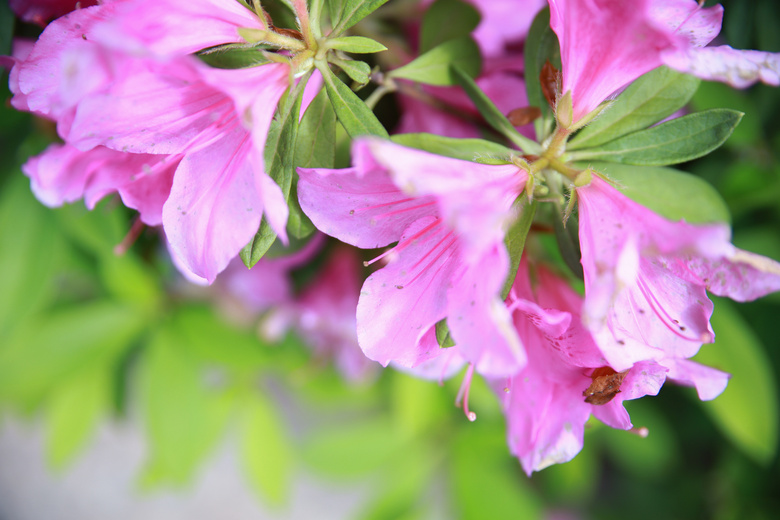 鮔(dng)ǰڼヺŮ(x)