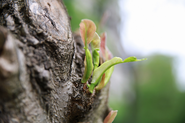 鮔(dng)ǰڼヺŮ(x)