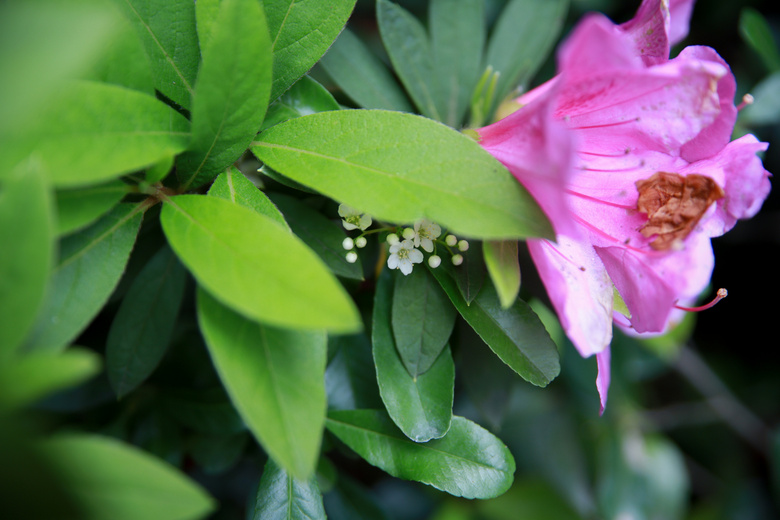 鮔(dng)ǰڼヺŮ(x)