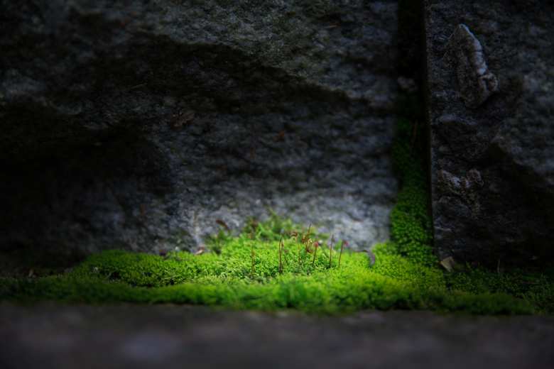 鮔(dng)ǰڼヺŮ(x)