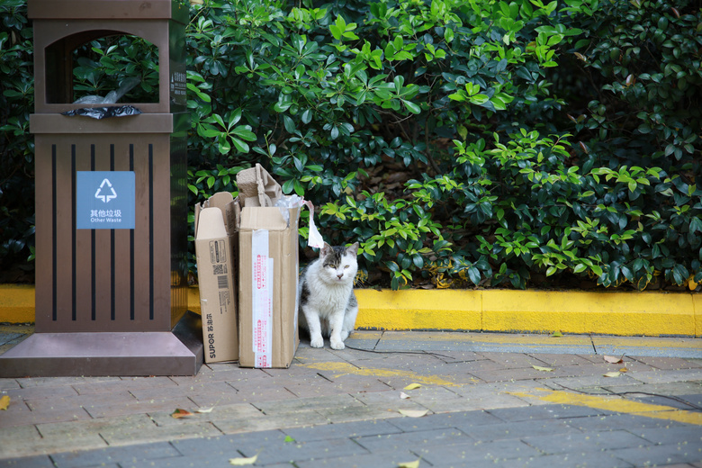 鮔(dng)ǰڼヺŮ(x)