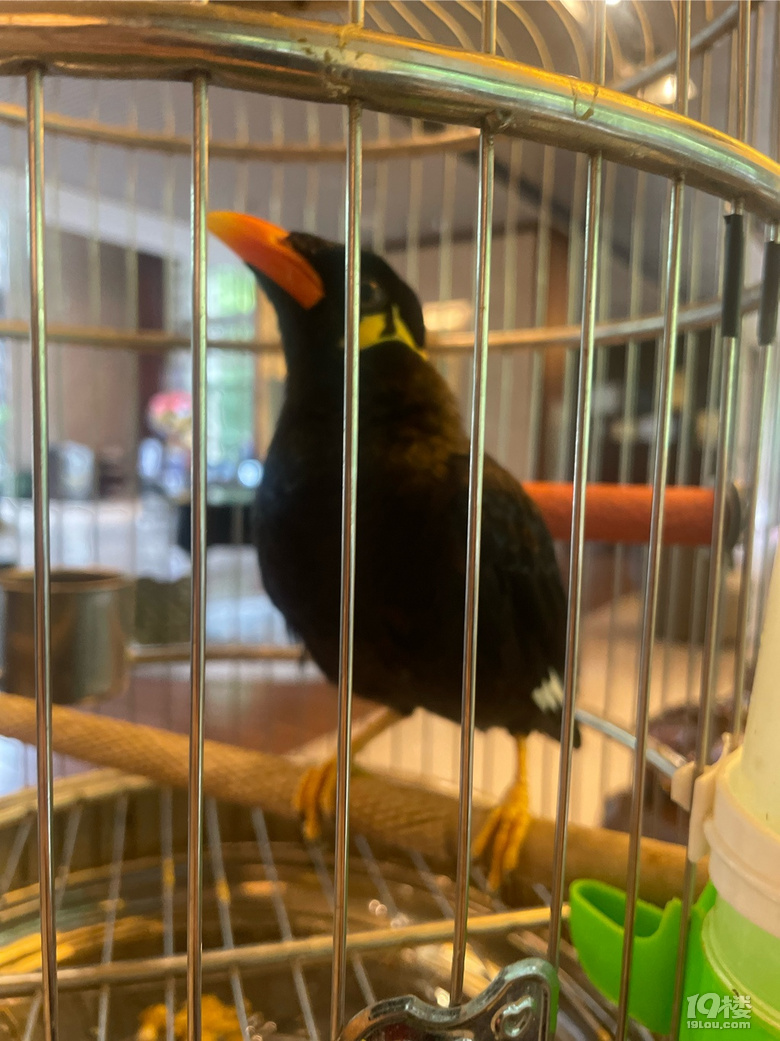 һˣϪסһ Bп