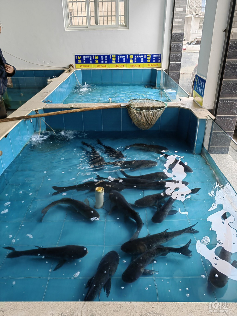 五一去建德吃個(gè)魚！