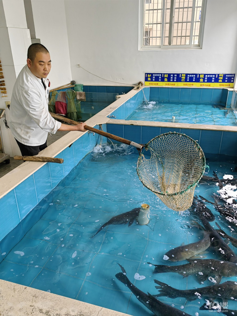 五一去建德吃個(gè)魚！