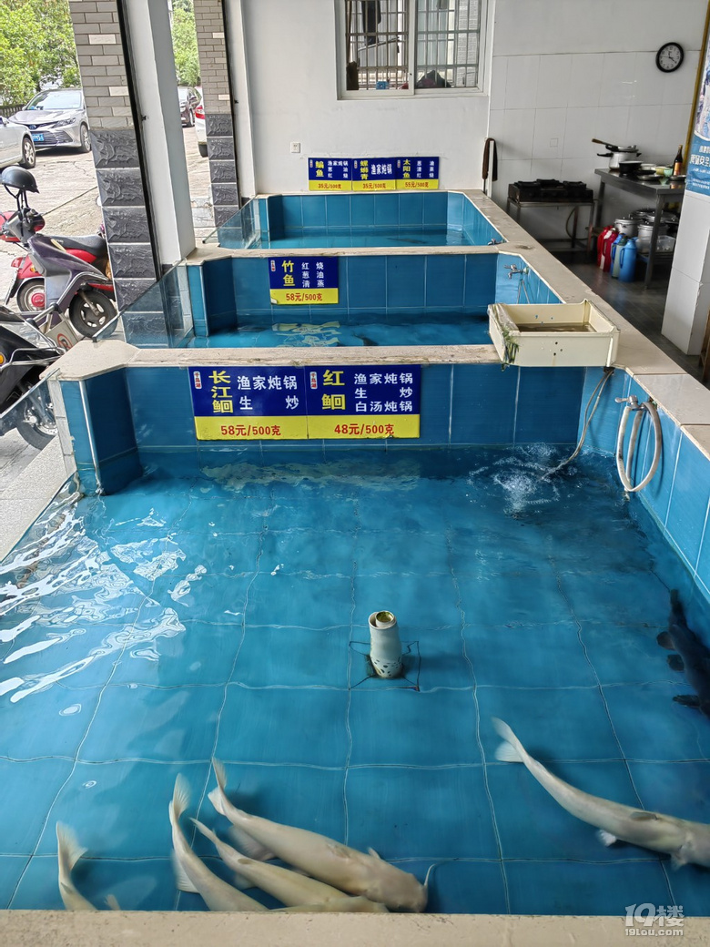 五一去建德吃個(gè)魚！