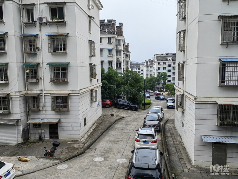 五一去建德吃個(gè)魚！