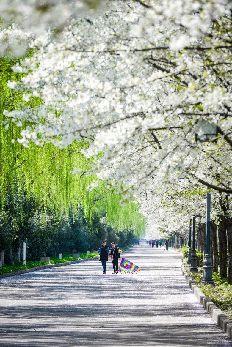 中國(guó)首個(gè)破產(chǎn)的5A景區(qū)，負(fù)債3.5億也不宰客，礦泉水只賣1元