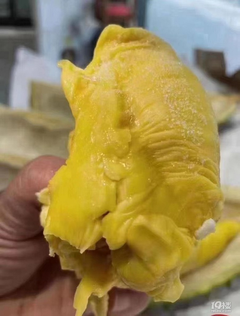 R؈ɽɏ