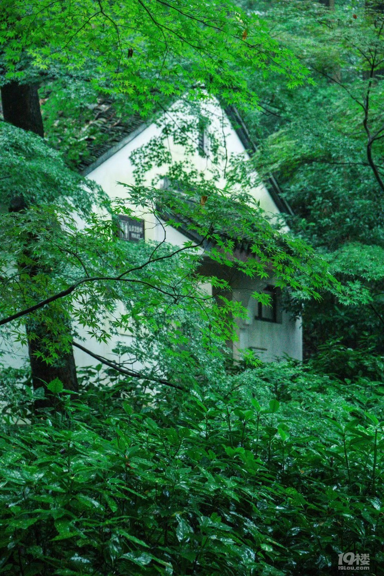 컢Mɭ֚